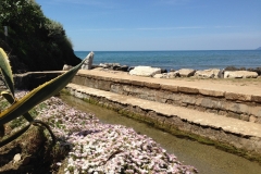 Sperlonga-lavatoio-in-fiore